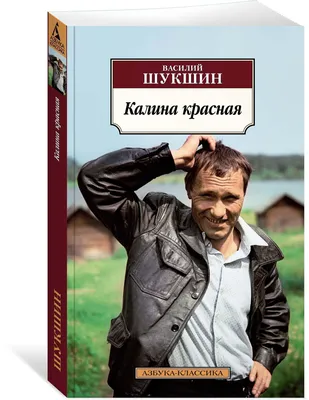 Спустя 50 лет: как сейчас живут в Белозерске, где Шукшин снимал «Калину  Красную» - Экспресс газета