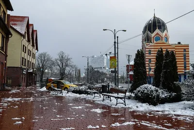 Как выглядел Калининград в первый день всеобщей самоизоляции (фото) - Новый  Калининград.Ru
