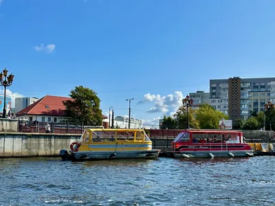 Проект уже не поменять»: работы на озере Поплавок в Калининграде обещают  завершить в марте