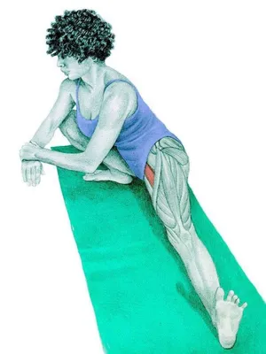 Анатомия стретчинга в картинках: упражнения для всего тела - Лайфхакер