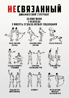Программа тренировок динамический стретчинг | Программа тренировок,  Упражнения, Растяжки