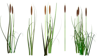 Камыш травянистый бежевый 8J-14AB0002/1 купить по выгодной цене в  интернет-магазине Гарда Декор
