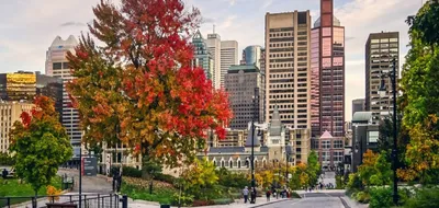 Обои Города Торонто (Канада), обои для рабочего стола, фотографии города,  торонто , канада, панорама Обои для рабочего стола, скачать обои картинки  заставки на рабочий стол.