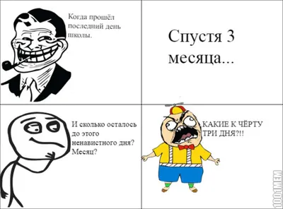 Строй-Центр Бекетов - Это кот Стёпа и он не согласен с тем, что новогодние каникулы  заканчиваются 🙃 Надеемся, что Вы хорошо отдохнули, реализовали все планы и  готовы к новым свершениям 😄💪 | Facebook