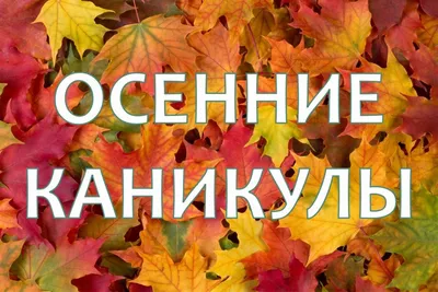 Новогодние каникулы заканчиваются, пора настраиваться на рабочий лад и  возвращаться к привычному ритму. Не всем это даётся.. | ВКонтакте