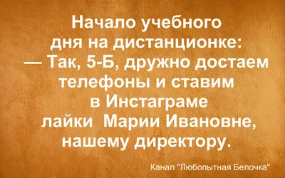 Фантомный конец лета — это когда тебе очень грустно и обидно, что каникулы  заканчиваются, но у тебя и не было никаких.. | ВКонтакте