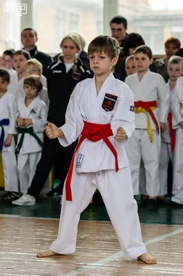 Занятия карате для детей 9-15 лет - Федерация Кёкусин-кан карате Республики  Крым, школа самообороны и единоборств