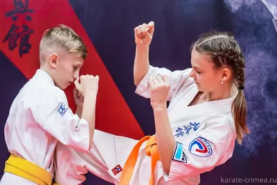 Купить Кимоно для карате Champion European Cut WKF белое K460E 🚩 в  интернет-магазине в Москве COMBATMARKT