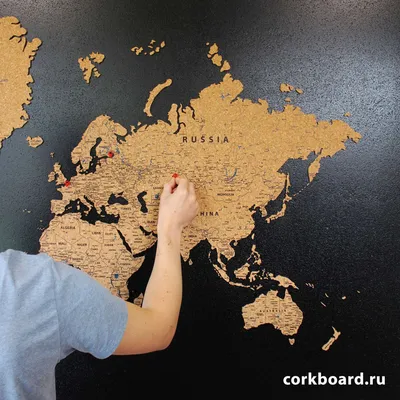Фотообои Географическая карта мира 20735 купить в Украине |  Интернет-магазин Walldeco.ua