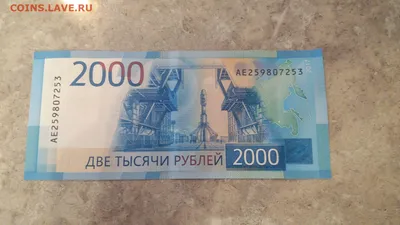 В Новосибирске пассажирка дала кондуктору фальшивые 2000 рублей за проезд |  ПРОИСШЕСТВИЯ | АиФ Новосибирск