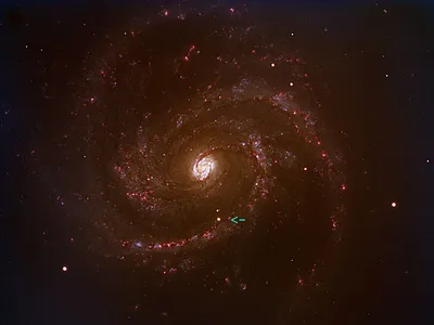 APOD: 2006 March 7 - A Nearby Supernova in Spiral Galaxy M100