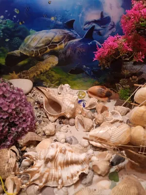 Сухой аквариум в интерьере: декоративный аквариум своими руками - Fitodecor