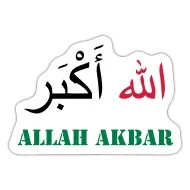 Фраза «Аллаху акбар» и ее значение в исламе | ВКонтакте