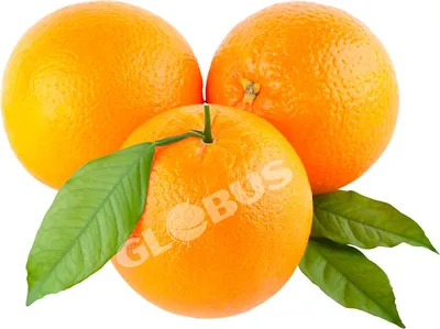 Апельсин ЮАР 1кг в Москве, цены: купить Апельсины с доставкой