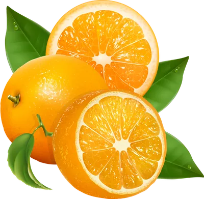 Апельсин Кара-Кара Навел вариегатный - комнатное растение купить в СПб -  Цитрус Микс 🍋