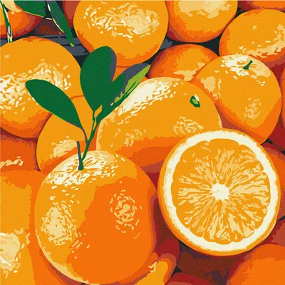 Купить красный апельсин ЮАР в магазине Fruitonline.ru