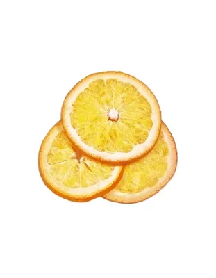 Продажа Апельсинового дерева для дома в Киеве. Купить тропические деревья  цитруса Апельсин в Украине.