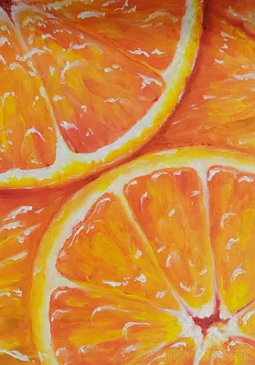 Blumentag\" DOJ-01 Сушеный апельсин для декора 10 шт. . купить за 6,30 р. в  интернет-магазине Леонардо Беларусь