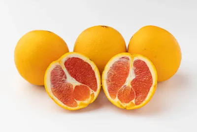 Апельсин сушеный (кольца) купить в Минске