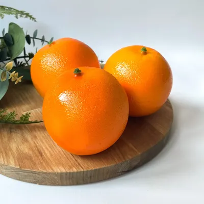 Выращивание комнатного апельсина: как вырастить апельсин в домашних  условиях | Biosad