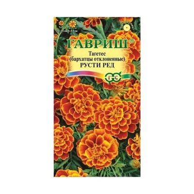 Бархатцы отклоненные Бонанза Би' из каталога Бархатцы – купить с доставкой  по Москве и России в Onlinesemena