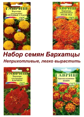 Бархатцы Мандарин, семена цветов, Legutko, Польша