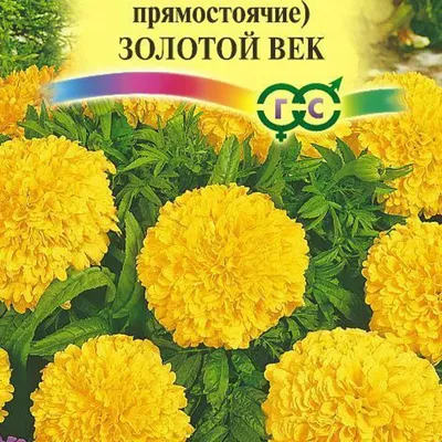 Бархатцы прямостоячие Дискавери F1 смесь Tagetes erecta Discovery F1 mix -  купить семена цветов с доставкой по Украине в магазине Добродар