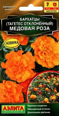 Семена Бархатцы прямостоячие Золотой век по цене 25 ₽/шт. купить в Барнауле  в интернет-магазине Леруа Мерлен