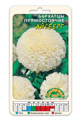 Бархатцы Медовая роза отклоненные 0,3г, семена | Купить в интернет магазине  Аэлита
