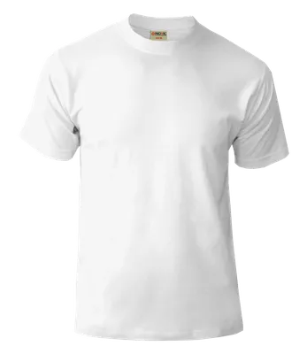 Мужская футболка Белая (коллекции Базовые футболки) за 390 ₽ купить в  интернет-магазине Print Bar (BSF-197858) ✌