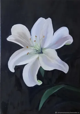 Яркая белая лилия в белом густом …» — создано в Шедевруме