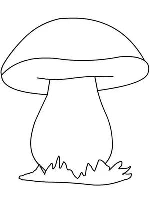 Картинка Белый гриб раскраска на листе А4 для мальчиков | RaskraskA4.ru