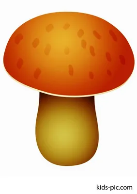 Польза белых грибов – 5 веских причин добавить суперфуд в свой рацион –  тема научной статьи по наукам о здоровье читайте бесплатно текст  научно-исследовательской работы в электронной библиотеке КиберЛенинка