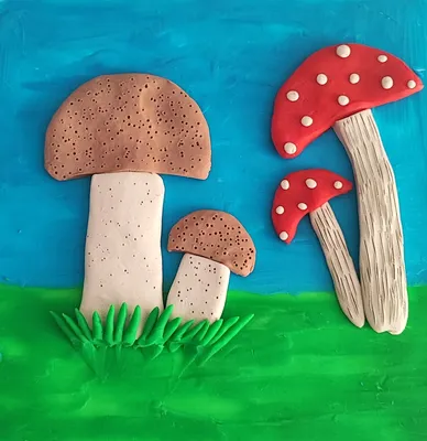 Грибы для детей — интересные факты о грибах для детей