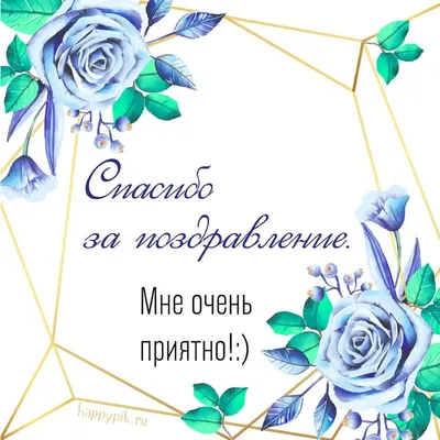 Спасибо за поздравления - Новости Украины