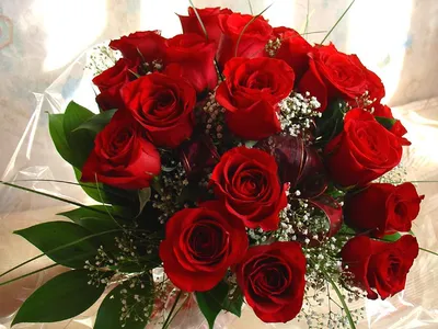 Букет роз для любимой женщины Стоковое Фото - изображение насчитывающей  счастье, влюбленность: 66850924