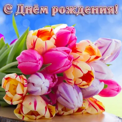 С днем рождения тюльпаны - фото и картинки abrakadabra.fun