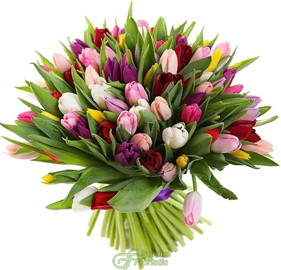 Букет из 49 фиолетовых тюльпанов - Доставкой цветов в Москве! 9997 товаров!  Цены от 487 руб. Цветы Тут