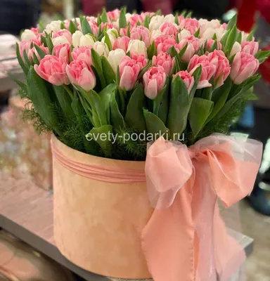 51 тюльпан в коробке за 7890 ₽ с доставкой по Москве