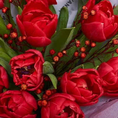 с днем рождения! красивый букет из тюльпанов Стоковое Изображение -  изображение насчитывающей наслаждение, бобра: 221907181