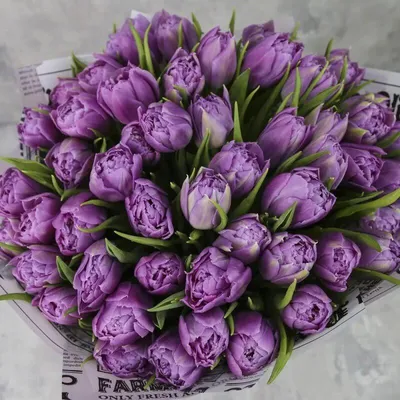 Купить букет из 13 белых тюльпанов в Омске