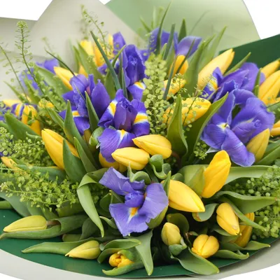 Тюльпаны (15 шт.)» - купить в Москве за 3 260 руб