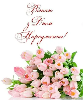 Купить Яркий букет тюльпанов в нежном оформлении model №275 в Новосибирске