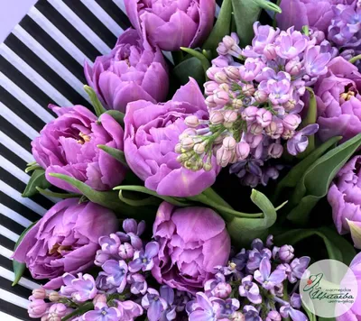 Букет лиловых тюльпанов | доставка по Москве и области