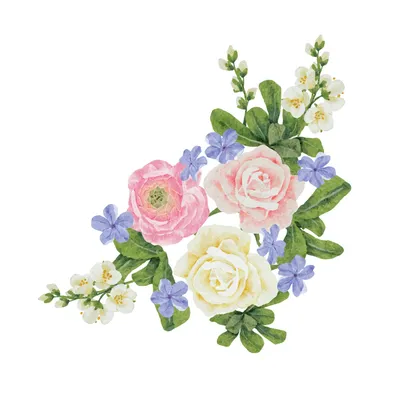 Фото букеты цветов на прозрачном фоне - Цветы - Картинки PNG - Галерейка