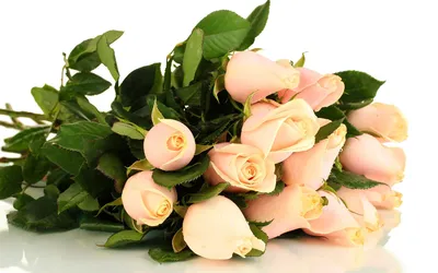 Букет роз на прозрачном фоне для фотошопа (53 фото) | Букет роз, Букет, Розы