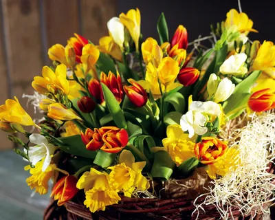 Букет весенних цветов скачать фото обои для рабочего стола