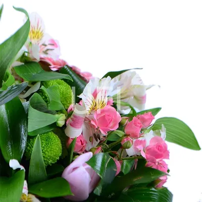 Купить Весенние цветы Гродно | UFL