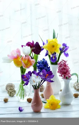 Весенний букет цветов - красивые 20 фото и картинок