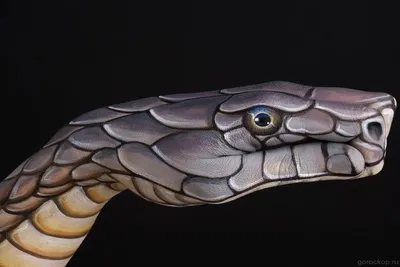 Фото Черная полосатая змея изгибается вокруг шеи молодой женщины